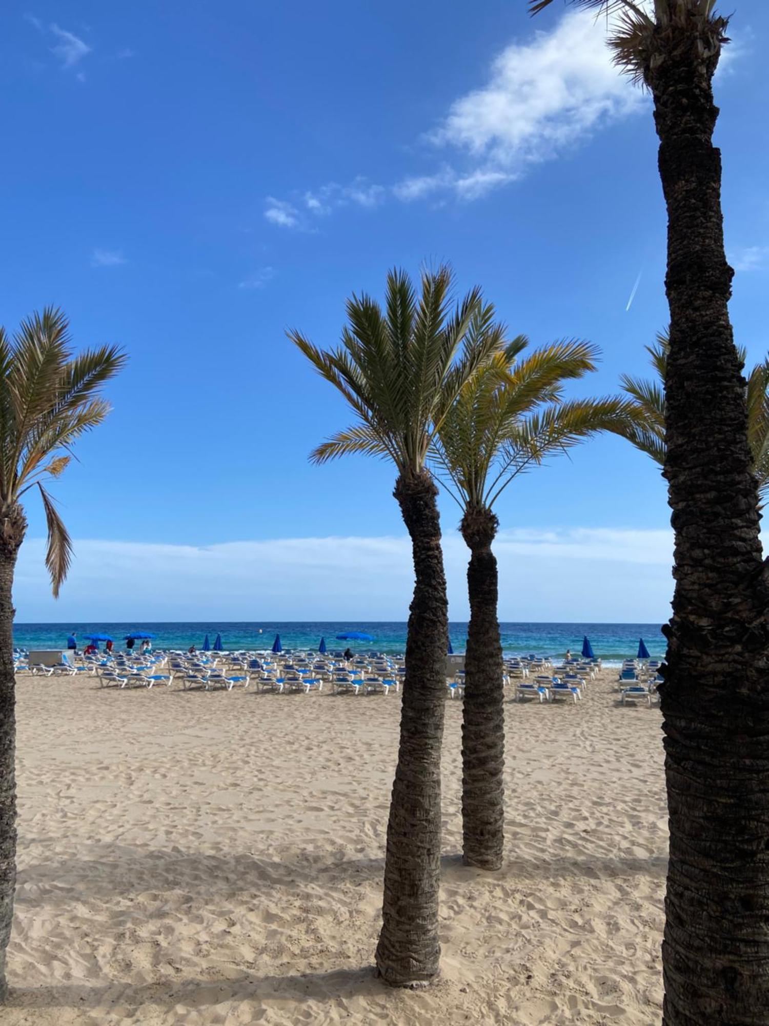 Levante Carlos V 1B Benidorm Exteriér fotografie
